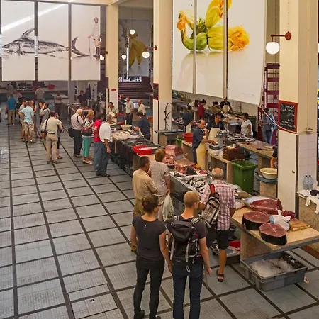 The Mountain By An Island Funchal (Madeira)