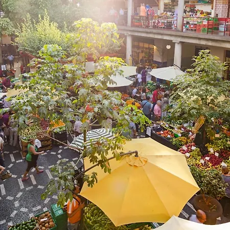 Lägenhet The Mountain By An Island Funchal (Madeira)