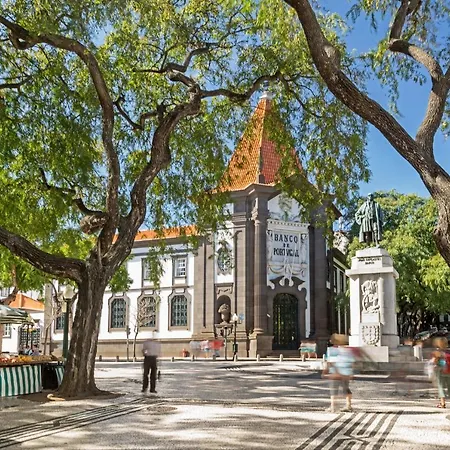 The Mountain By An Island * Funchal (Madeira)