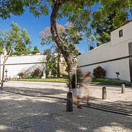 Apartmán The Mountain By An Island Funchal (Madeira)